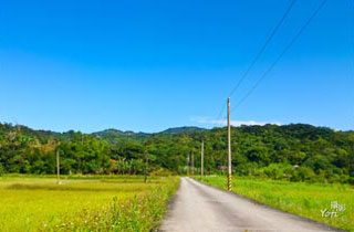 浪漫金針山之旅